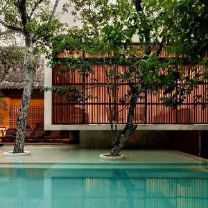 Jungle Keva & Venue Villa