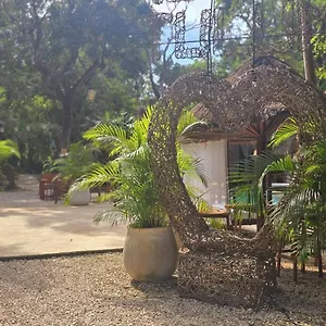 Kin Jungle Deluxe Penzion
